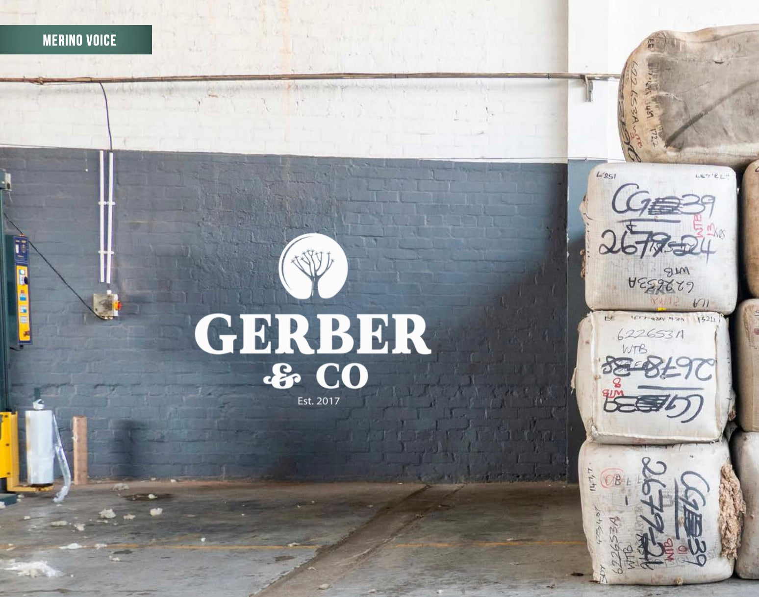 Merino SA - Disrupting the Last 28 Years