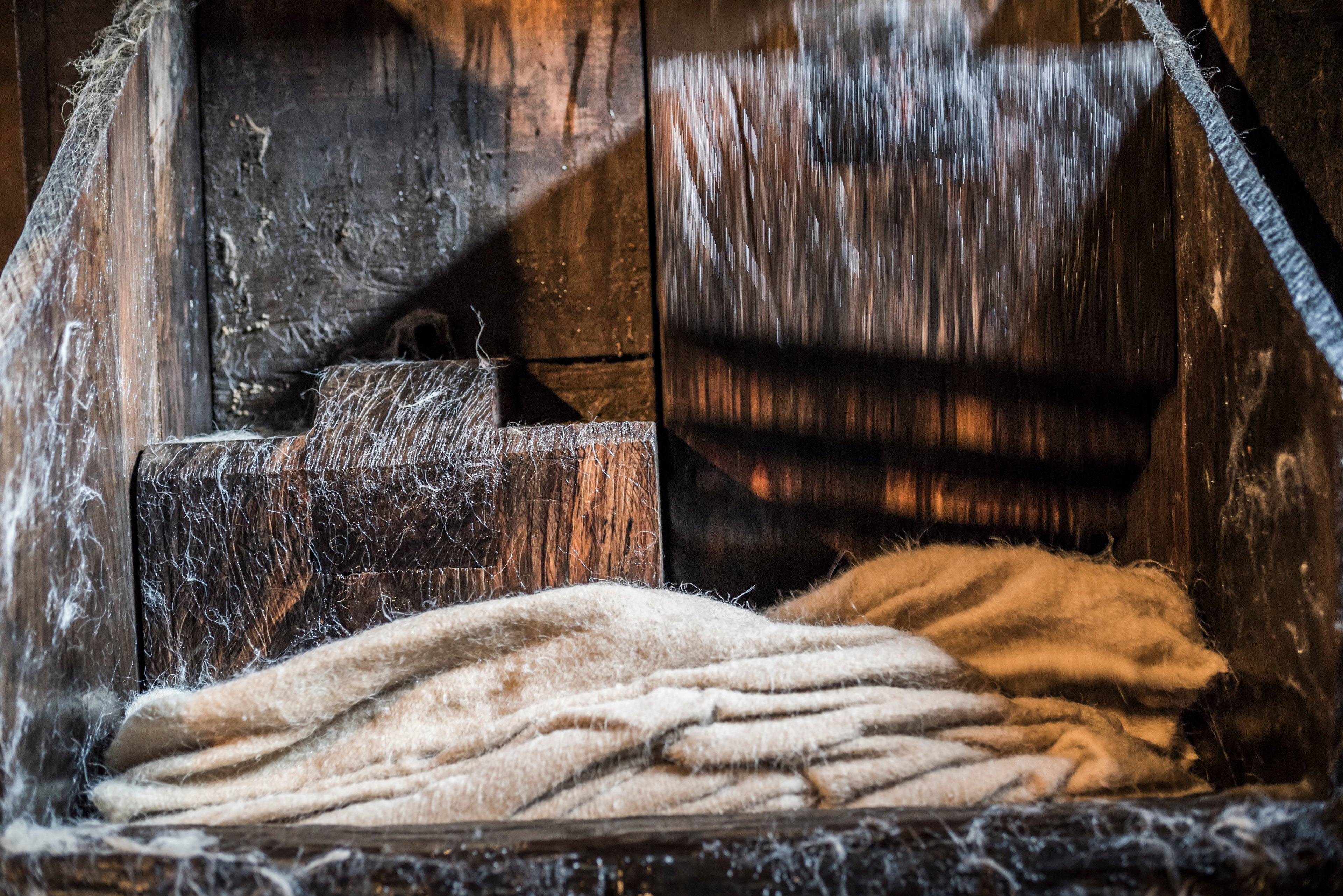 The Future of Wool Innovation